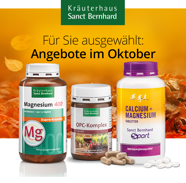 Oktober 2025 Angebote