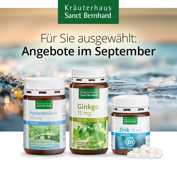 September 2026 Angebote