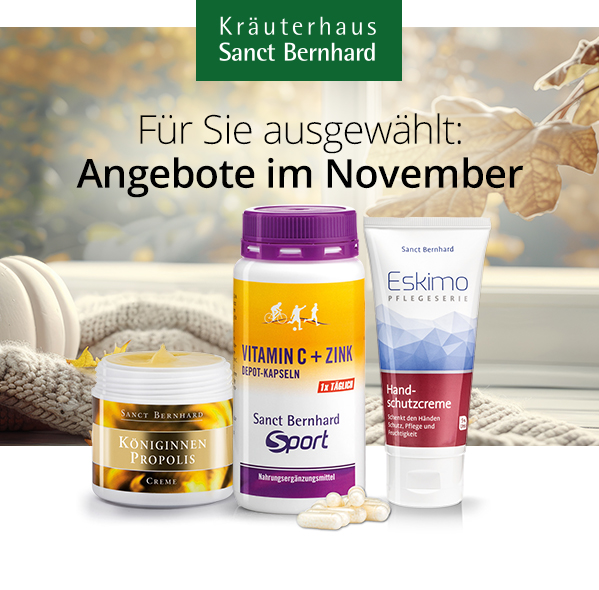 November 2025 Angebote
