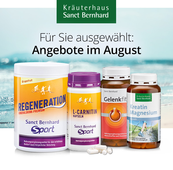 August 2025 Angebote