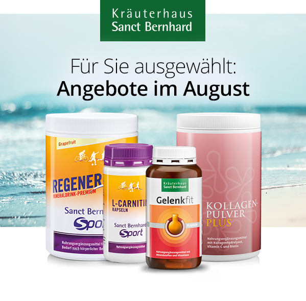 August 2026 Angebote