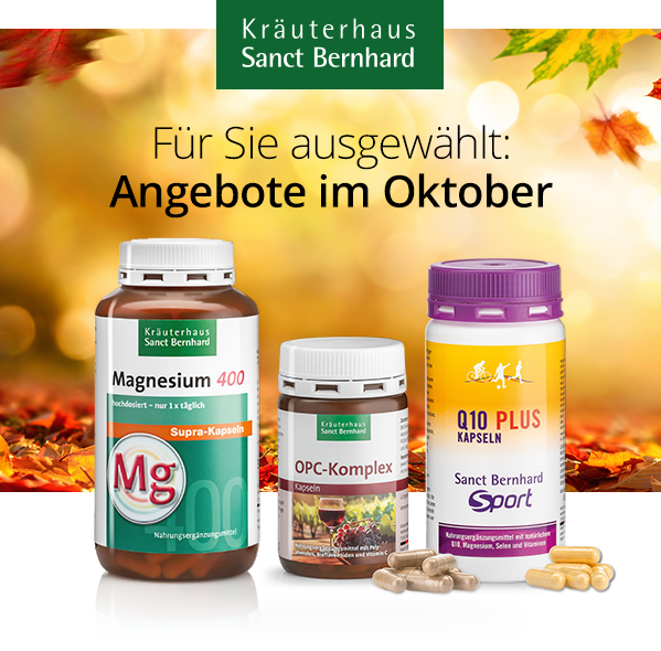 Oktober 2026 Angebote
