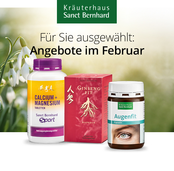 Februar 2026 Angebote