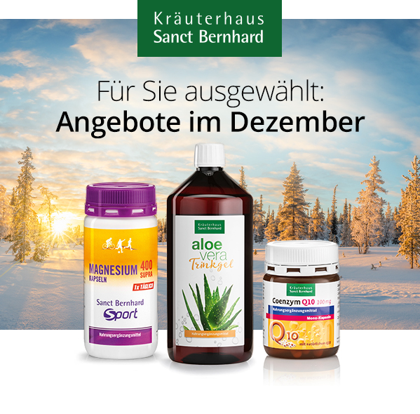 Dezember 2025 Angebote