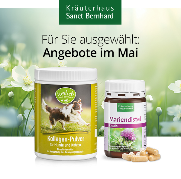 Mai 2026 Angebote