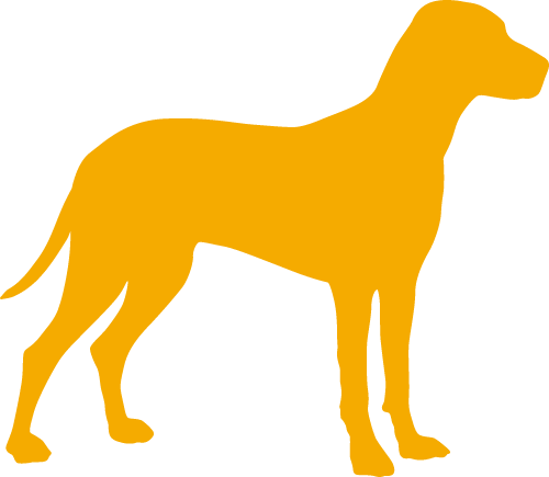 Für den Hund
