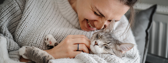 Katzengesundheit