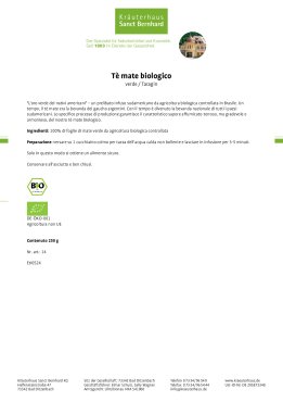 Tè mate biologico 250 g