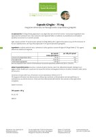 Capsule Ginkgo 75 mg 240 capsule