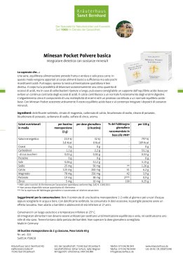 Minesan Pocket polvere basica 60 g