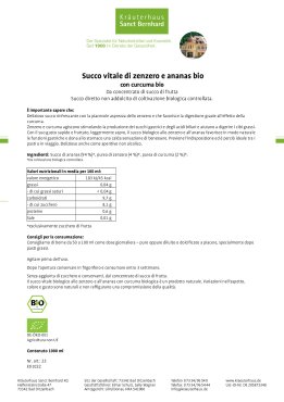 Succo vitale di zenzero e ananas bio