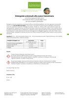 Detergente universale concentrato alle arance 1 litro