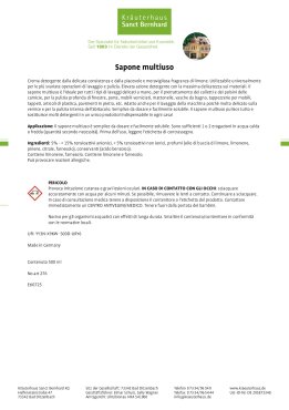 Sapone multiuso 500 ml