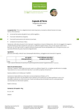 Capsule di ferro 120 capsule