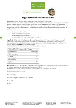 Zuppa cremosa di verdure Gourmet 600 g