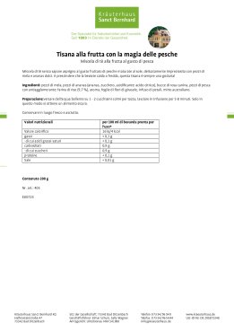 Tisana alla frutta con la magia delle pesche 200 g