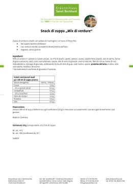 Snack di zuppa „Mix di verdure“ confezione da 10 200 g