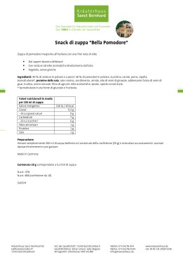 Snack di zuppa "Bel pomodoro" confezione da 10 200 g