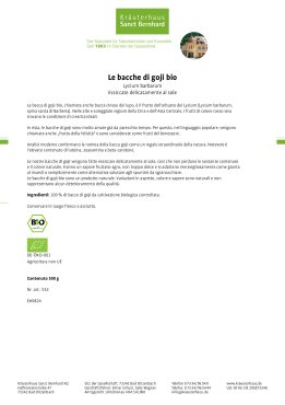 Bacche di Goji bio 500 g