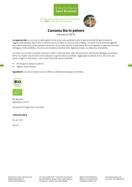 Curcuma bio in polvere 500 g