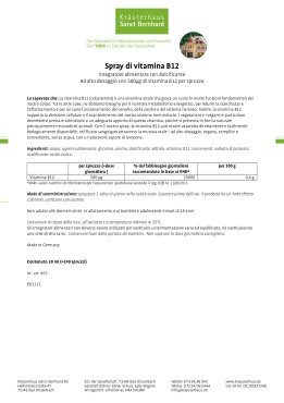 Spray di vitamina B12 30 ml