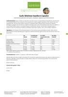 Garlic Mistletoe Hawthorn Capsules 480 capsules