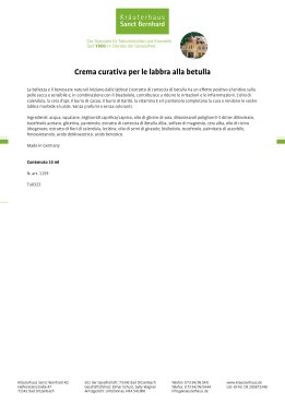 Crema curativa per le labbra alla betulla 15 ml