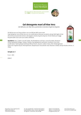 Gel detergente mani all'Aloe Vera 1 litro