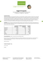 Veggie-fit Capsules 90 capsules