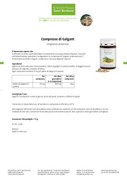 Compresse di Galgant 300 compresse