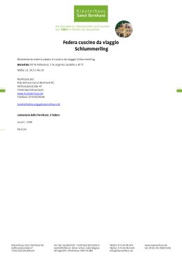 Federa cuscino da viaggio Schlummerling
