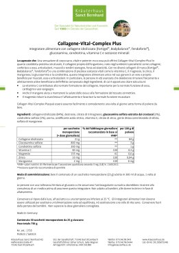 Collagene-Vital-Complex Plus 750 g