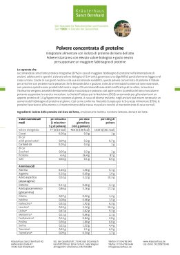 Polvere concentrata di proteine 350 g