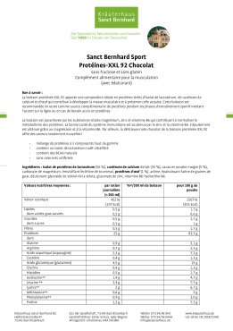 Sanct Bernhard Sport Protéines-XXL 92 Chocolat 450 g