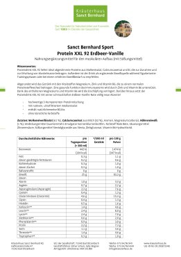 Sanct Bernhard Sport Proteindrink XXL-Set