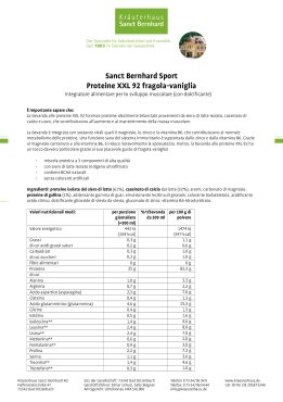 Sanct Bernhard Sport Proteina XXL 92 Set