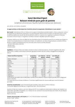 Sanct Bernhard Sport Boisson minérale pure goût de pomme 100 g
