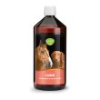tierlieb Huile de saumon pour chiens et chevaux