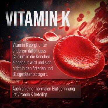 Vitamin-K2-200 µg-Kapseln 120 Kapseln