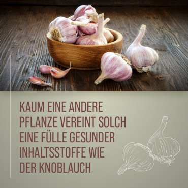 Knoblauch-Kapseln 500 mg 180 Kapseln