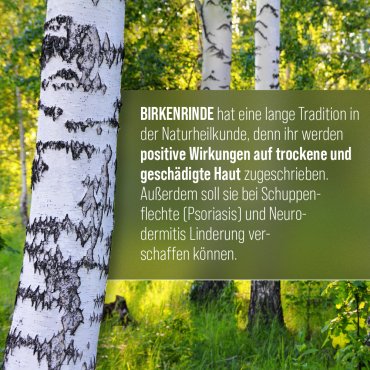 Birken-Creme 100 ml