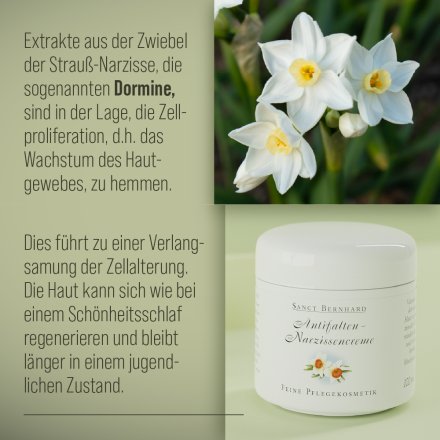 Antifalten-Narzissencreme 100 ml