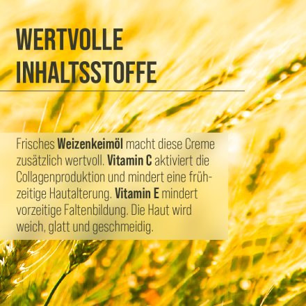 Antifalten-Narzissencreme 100 ml