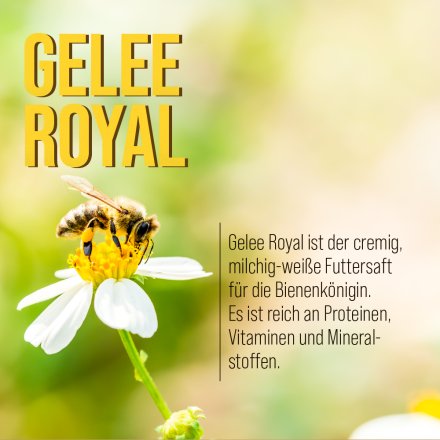 Bienenköniginnen-Schönheits-Creme 100 ml