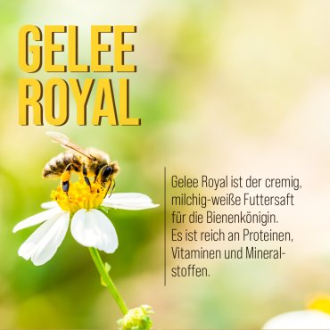 Bienenköniginnen-Schönheits-Creme 100 ml
