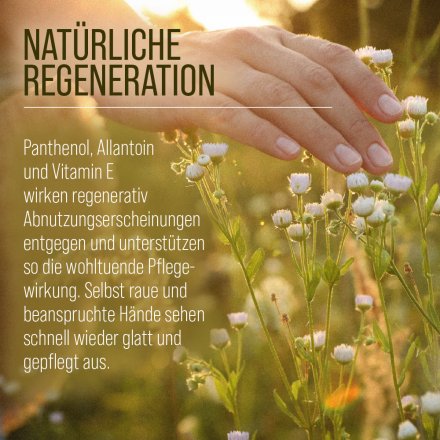 Handrücken-Regenerations-Kur 100 ml
