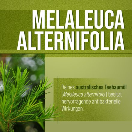 Anti-Achselschweiß-Creme 100 ml