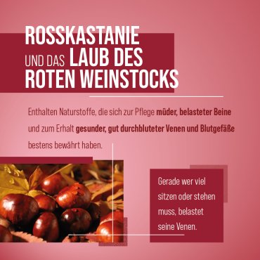 Rosskastanien-Weinlaub-Creme 150 ml 150 ml