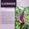 Glucomannan Drink 126 g