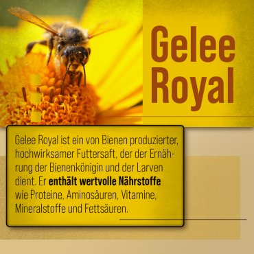 Königinnen-Propolis-Creme 100 ml